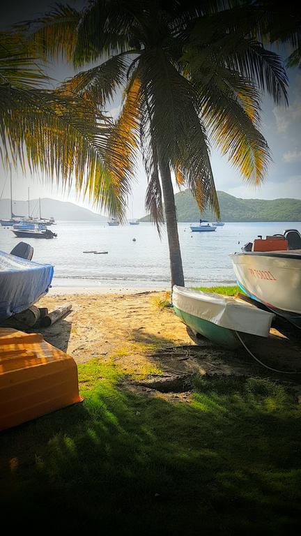 Location Marigot Villa Terre-De-Haut Exterior foto