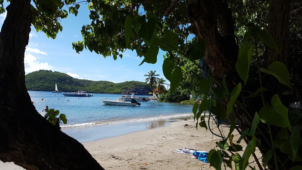 Location Marigot Villa Terre-De-Haut Exterior foto